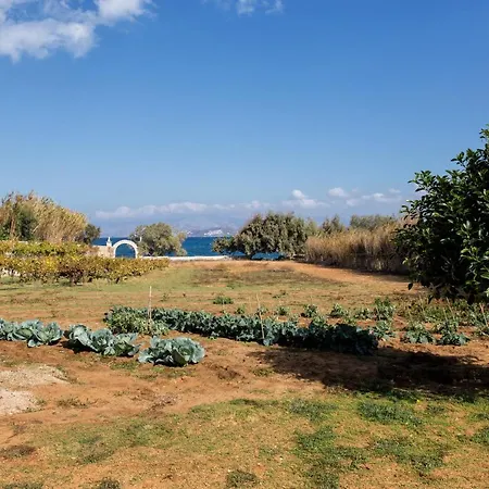 Bilmar Sea Side 度假居 Mármara